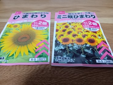 Sunflower003