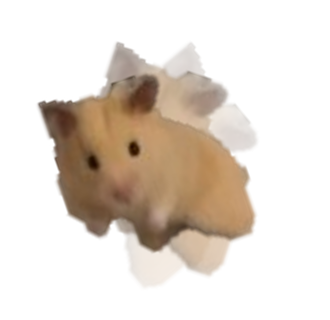 Kinkuma_022